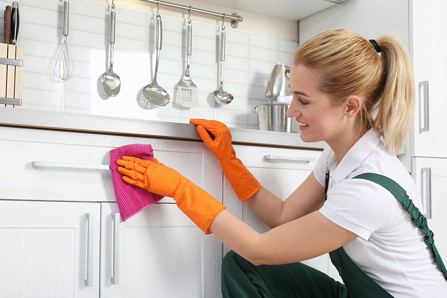 Domestic Cleaning